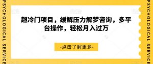 超冷门项目，缓解压力解梦咨询，多平台操作，轻松月入过万【揭秘】-水滴知识网