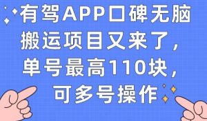 有驾APP口碑无脑搬运项目又来了，单号最高110块，可多号操作-水滴知识网