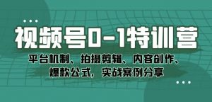 视频号0-1特训营:平台机制、拍摄剪辑、内容创作、爆款公式,实战案例分享-水滴知识网