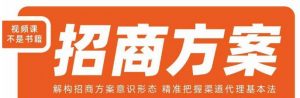 王昕招商方案,解构招商方案意识形态,精准把握渠道代理基本法-水滴知识网