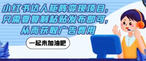 小红书达人矩阵变现项目,只需要复制粘贴发布即可,从而获取广告费用-水滴知识网