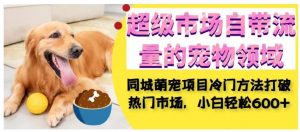 超级市场自带流量的宠物领域，同城萌宠项目冷门方法打破热门市场，小白轻松600+-水滴知识网