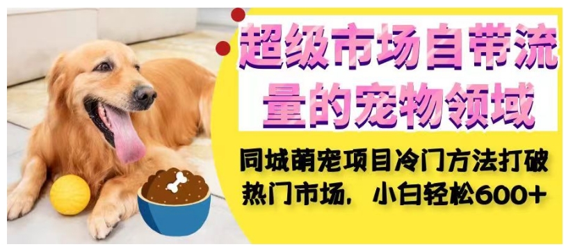 超级市场自带流量的宠物领域，同城萌宠项目冷门方法打破热门市场，小白轻松600+-水滴知识网