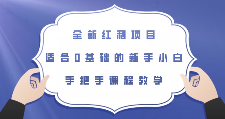 全新红利项目，适合0基础的新手小白，手把手课程教学【揭秘】-水滴知识网