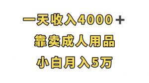 一天收入4000+,靠卖成人用品,小白轻松月入5万【揭秘】-水滴知识网