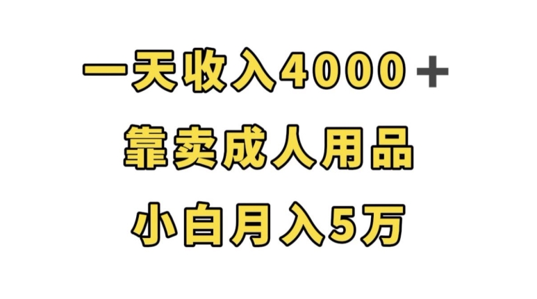 一天收入4000+,靠卖成人用品,小白轻松月入5万【揭秘】-水滴知识网