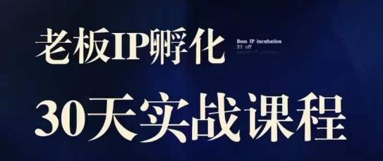 诸葛·2023老板IP实战课,实体同城引流获客,IP孵化必听-水滴知识网