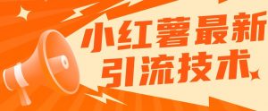 小红书最新引流技术，真正实现解放双手暴力引流-水滴知识网
