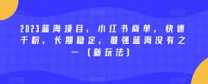 2023蓝海项目,小红书商单,快速千粉,长期稳定,最强蓝海没有之一(新玩法)-水滴知识网