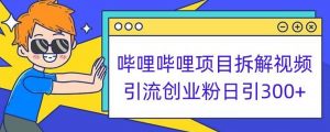 哔哩哔哩项目拆解引流创业粉日引300+小白可轻松上手【揭秘】-水滴知识网
