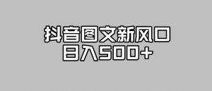 抖音图文最新风口，流量扶持非常高，日入500+【揭秘】-水滴知识网