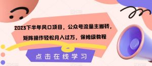 2023下半年风口项目，公众号流量主搬砖，矩阵操作轻松月入过万，保姆级教程-水滴知识网