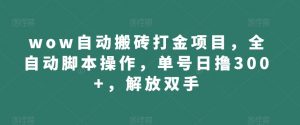 wow自动搬砖打金项目，全自动脚本操作，单号日撸300+，解放双手【揭秘】-水滴知识网