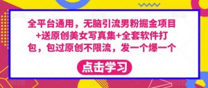 全平台通用,无脑引流男粉掘金项目+送原创美女写真集+全套软件打包,包过原创不限流,发一个爆一个【揭秘】-水滴知识网