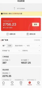 拼多多无人直播不封号玩法,0投入,3天必起,日入1000+-水滴知识网