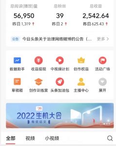全新蓝海,西瓜视频流量掘金项目,简单上手适合0基础小白,暴力玩法日入500+【揭秘】-水滴知识网