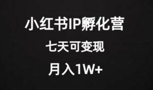 价值2000+的小红书IP孵化营项目,超级大蓝海,七天即可开始变现,稳定月入1W+-水滴知识网