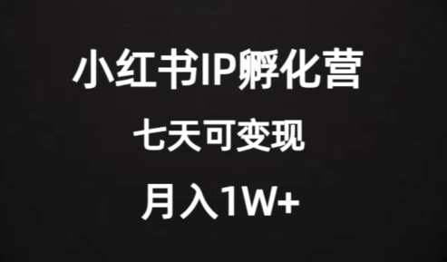 价值2000+的小红书IP孵化营项目，超级大蓝海，七天即可开始变现，稳定月入1W+-水滴知识网