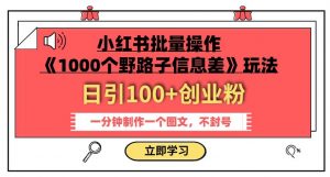 小红书批量操作《1000个野路子信息差》玩法,一分钟制作一个图文,不封号,日引100+创业粉-水滴知识网