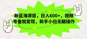 新蓝海项目，日入600+，视频号叠加变现，新手小白无脑操作【揭秘】-水滴知识网