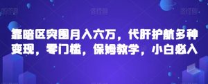 靠暗区突围月入六万，代肝护航多种变现，零门槛，保姆教学，小白必入【揭秘】-水滴知识网