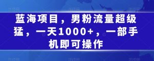 蓝海项目，男粉流量超级猛，一天1000+，一部手机即可操作【揭秘】-水滴知识网