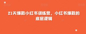 21天爆款小红书训练营，小红书爆款的底层逻辑-水滴知识网