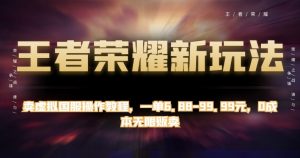 王者荣耀新玩法，卖虚拟国服操作教程，一单6.88-99.99元，0成本无限贩卖【揭秘】-水滴知识网