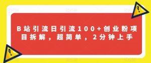 B站引流日引流100+创业粉项目拆解，超简单，2分钟上手【揭秘】-水滴知识网