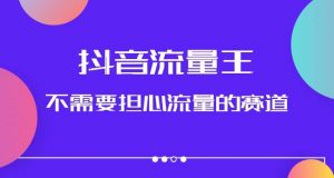 抖音流量王,不需要担心流量的赛道,美女图文音乐号升级玩法(附实操+养号流程)-水滴知识网