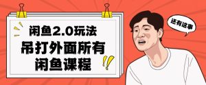 闲鱼2.0玩法单号每天日入2000，吊打市面所有课程-水滴知识网
