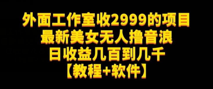 外面工作室收2999的项目最新美女无人撸音浪日收益几百到几千【教程+软件】（仅揭秘）-水滴知识网