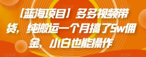 【蓝海项目】多多视频带货,纯搬运一个月搞了5w佣金,小白也能操作【揭秘】-水滴知识网