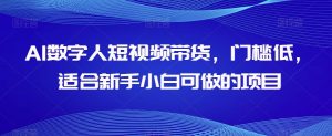 AI数字人短视频带货,门槛低,适合新手小白可做的项目-水滴知识网