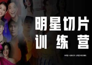 王子·明星切片线上训练营(2023),和明星一起拿红利,让明星为我们赚钱-水滴知识网