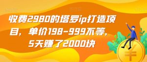 收费2980的塔罗ip打造项目，单价198-999不等，5天赚了2000块【揭秘】-水滴知识网