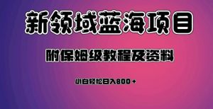 虚拟资源蓝海领域新项目,轻松日入800+,附保姆级教程及资料-水滴知识网