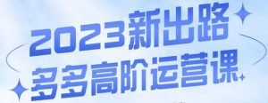 大炮·多多高阶运营课,3大玩法助力打造爆款,实操玩法直接亮出干货-水滴知识网