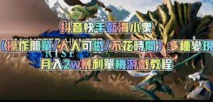 抖音快手蓝海小众(操作简单人人可做不花时间)多种变现月入2w+暴利单机游戏教程-水滴知识网