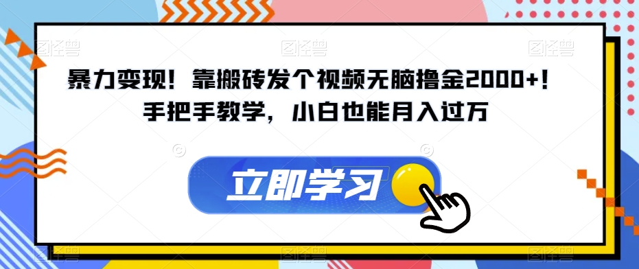暴力变现!靠搬砖发个视频无脑撸金2000+!手把手教学,小白也能月入过万【揭秘】-水滴知识网