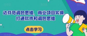 达芬奇调色思维,商业项目实操,打通软件和调色思维-水滴知识网
