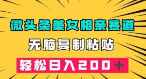 微头条冷门美女相亲赛道，无脑复制粘贴，轻松日入200＋【揭秘】-水滴知识网