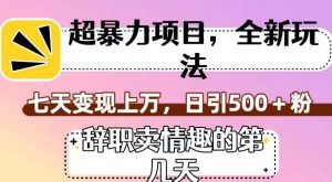 超暴利项目,全新玩法(辞职卖情趣的第几天),七天变现上万,日引500+粉【揭秘】-水滴知识网