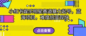 外面收费2980的视频号流量主项目,作品制作简单无脑,单账号日入过千-水滴知识网