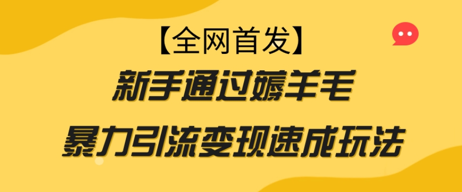 【全网首发】新手通过薅羊毛暴力引流变现速成玩法-水滴知识网