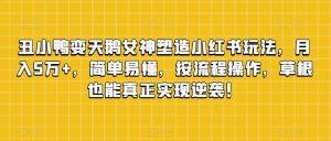 丑小鸭变天鹅女神塑造小红书玩法，月入5万+，简单易懂，按流程操作，草根也能真正实现逆袭！-水滴知识网