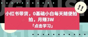 小红书带货,0基础小白每天随便拍拍,月赚3W【揭秘】-水滴知识网