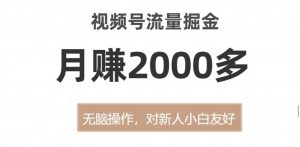 视频号流量掘金，无脑操作，对新人小白友好，月赚2000多【揭秘】-水滴知识网