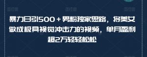 暴力日引500＋男粉独家思路，将美女做成极具视觉冲击力的视频，单月盈利超2万轻轻松松-水滴知识网