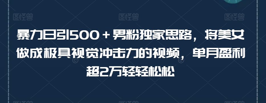 暴力日引500＋男粉独家思路，将美女做成极具视觉冲击力的视频，单月盈利超2万轻轻松松-水滴知识网